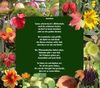 Erntedank Garten der Poesie