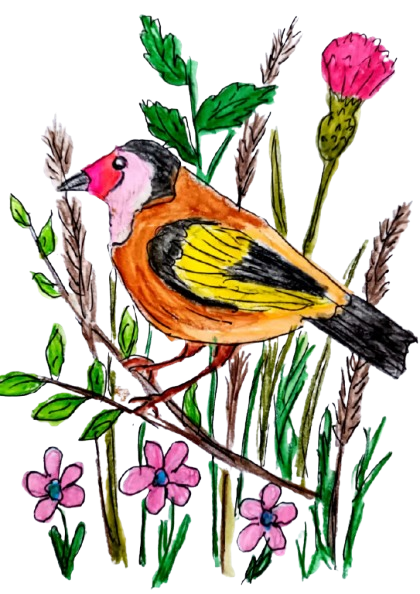 ba9-removebg-preview